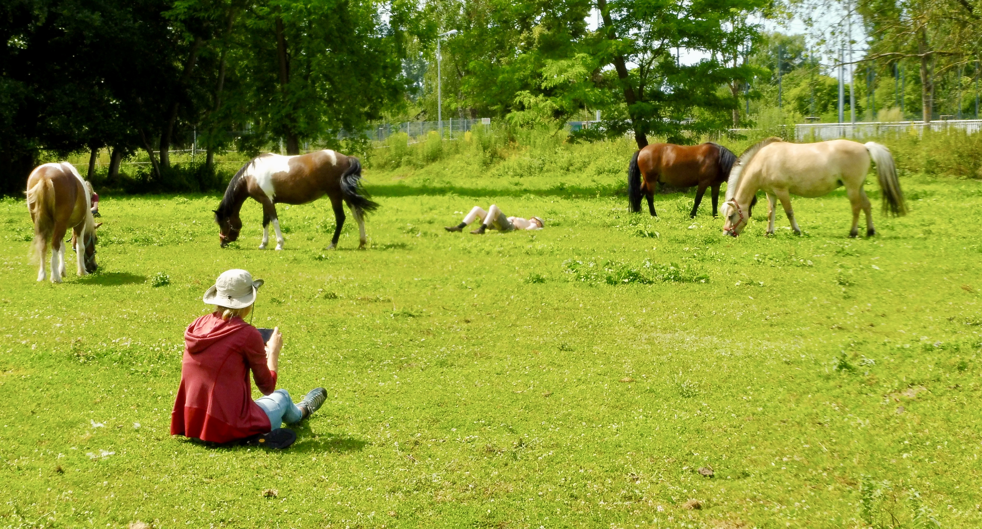 Menschen und Pferde auf Weide